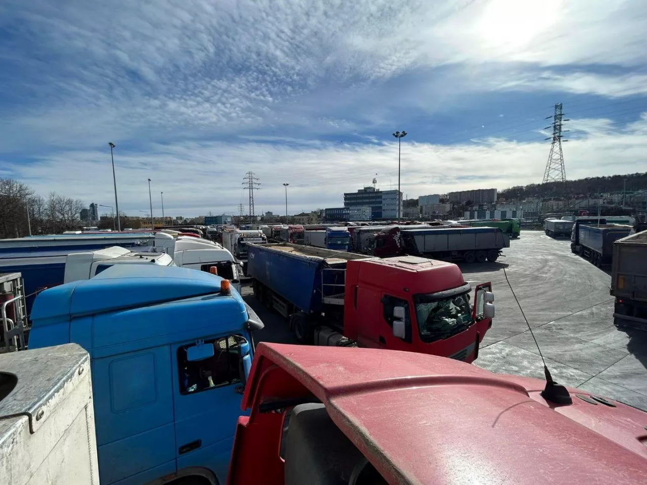 Nagromadzenie aut na portowym parkingu jest wsparciem dla krajowych cen zbóż.