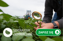 Seminarium ziemniaczane 2025