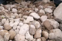 Kamienie są największym problemem na polach, które niedawno dołączyły do rozłogu gospodarstwa. Szybkim sposobem pozbycia się kłopotliwych kamieni są zbieracze.