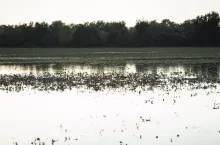 Opolskie, okolice Nysy Kłodzkiej i Głuchołazów, powódź