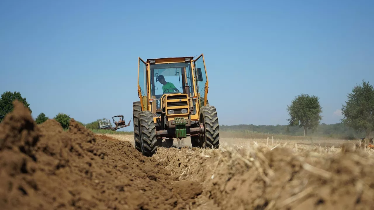 Polskie rolnictwo, stanowiące fundament bezpieczeństwa żywnościowego kraju i jeden z filarów gospodarki, mierzy się obecnie z bezprecedensowym splotem problemów