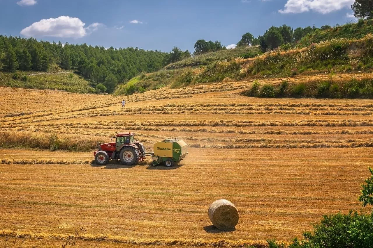 Jakie zmiany czekają rolników? KE przedstawia nową Wizję, a MRiRW sprawdza, które propozycje pomogą gospodarstwom, a gdzie unijne plany są zbyt ogólnikowe.