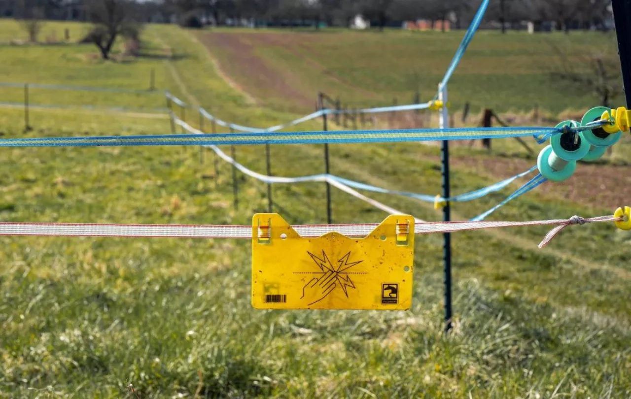 Pastuch elektryczny, ustawa łańcuchowa