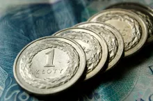 Polska Federacja Rolna: jasne kryteria i ukierunkowanie wsparcia na aktywność produkcyjną to nie tylko sprawiedliwość wobec rolników, ale również odpowiedzialność wobec całego społeczeństwa.