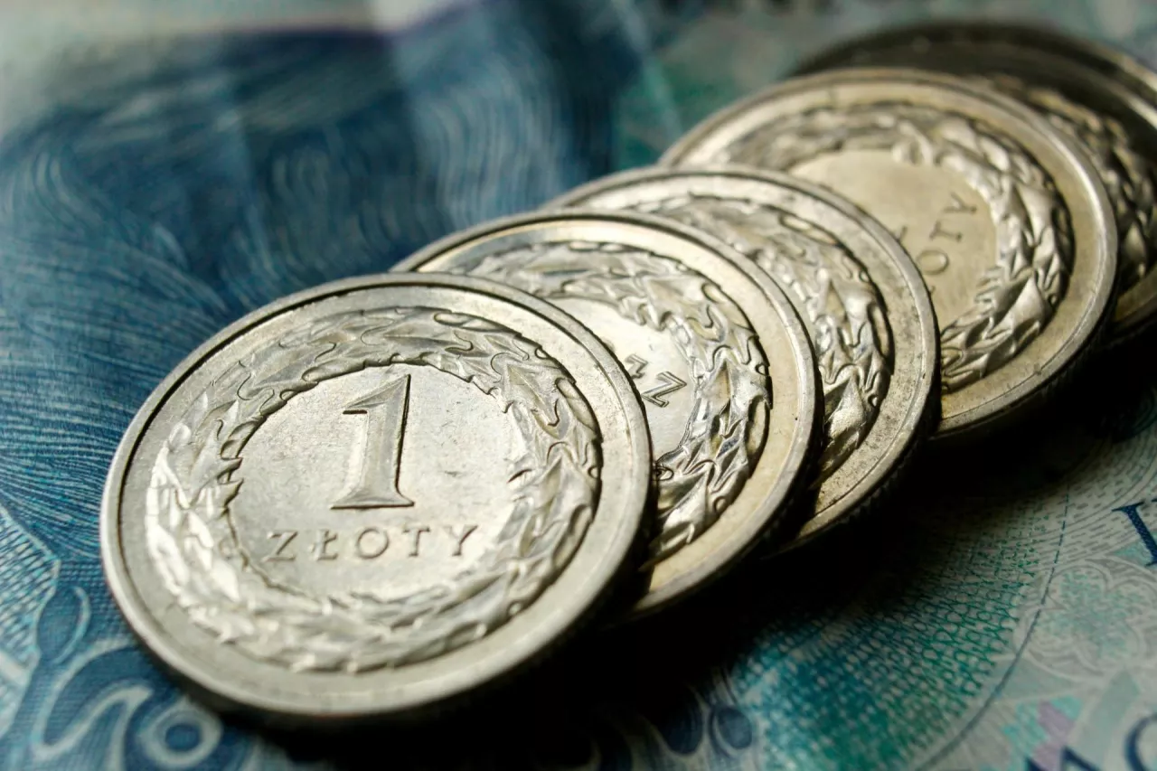 Polska Federacja Rolna: jasne kryteria i ukierunkowanie wsparcia na aktywność produkcyjną to nie tylko sprawiedliwość wobec rolników, ale również odpowiedzialność wobec całego społeczeństwa.