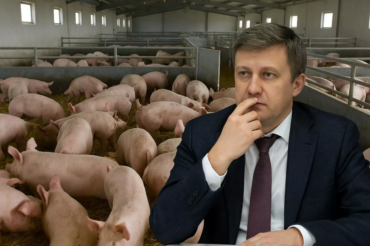 Kompozycja przedstawia ministra rolnictwa Ukrainy Witalija Kowala na tle nowoczesnej chlewni. Ukraina zapowiada ekspansję eksportową w sektorze trzody chlewnej mimo trwającej wojny.