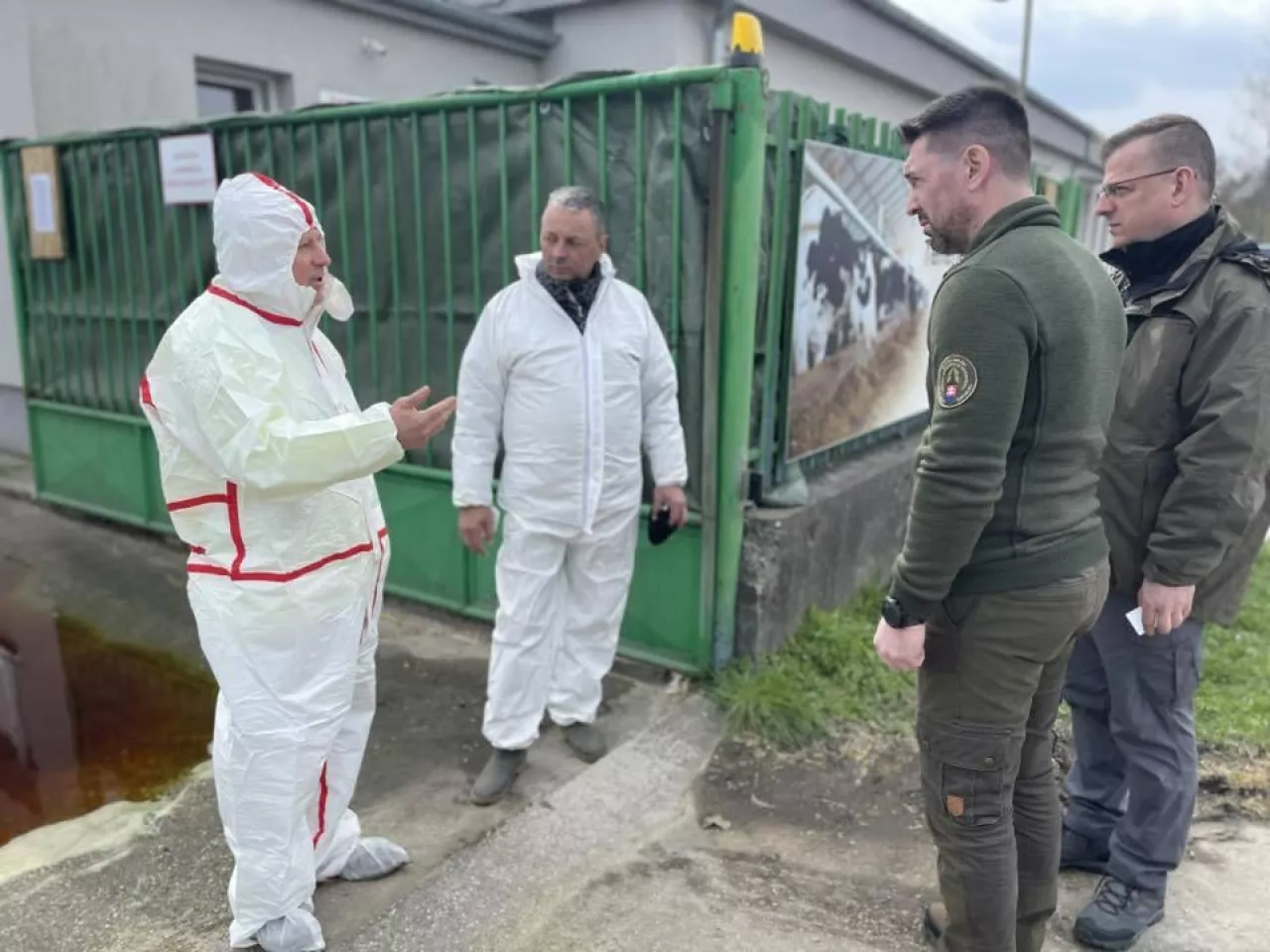 Epidemia pryszczycy w UE