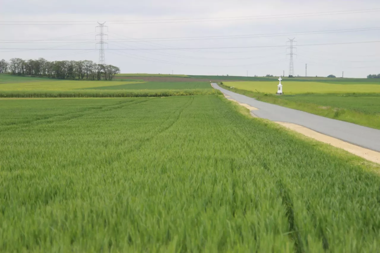 W latach 2020-2024 dyrektorzy oddziałów terenowych KOWR, na podstawie ustawy o stosunku Państwa do Kościoła Katolickiego, wydali pozytywną opinię odnośnie do przekazania osobom prawnym Kościoła Katolickiego łącznie 312 ha nieruchomości rolnych