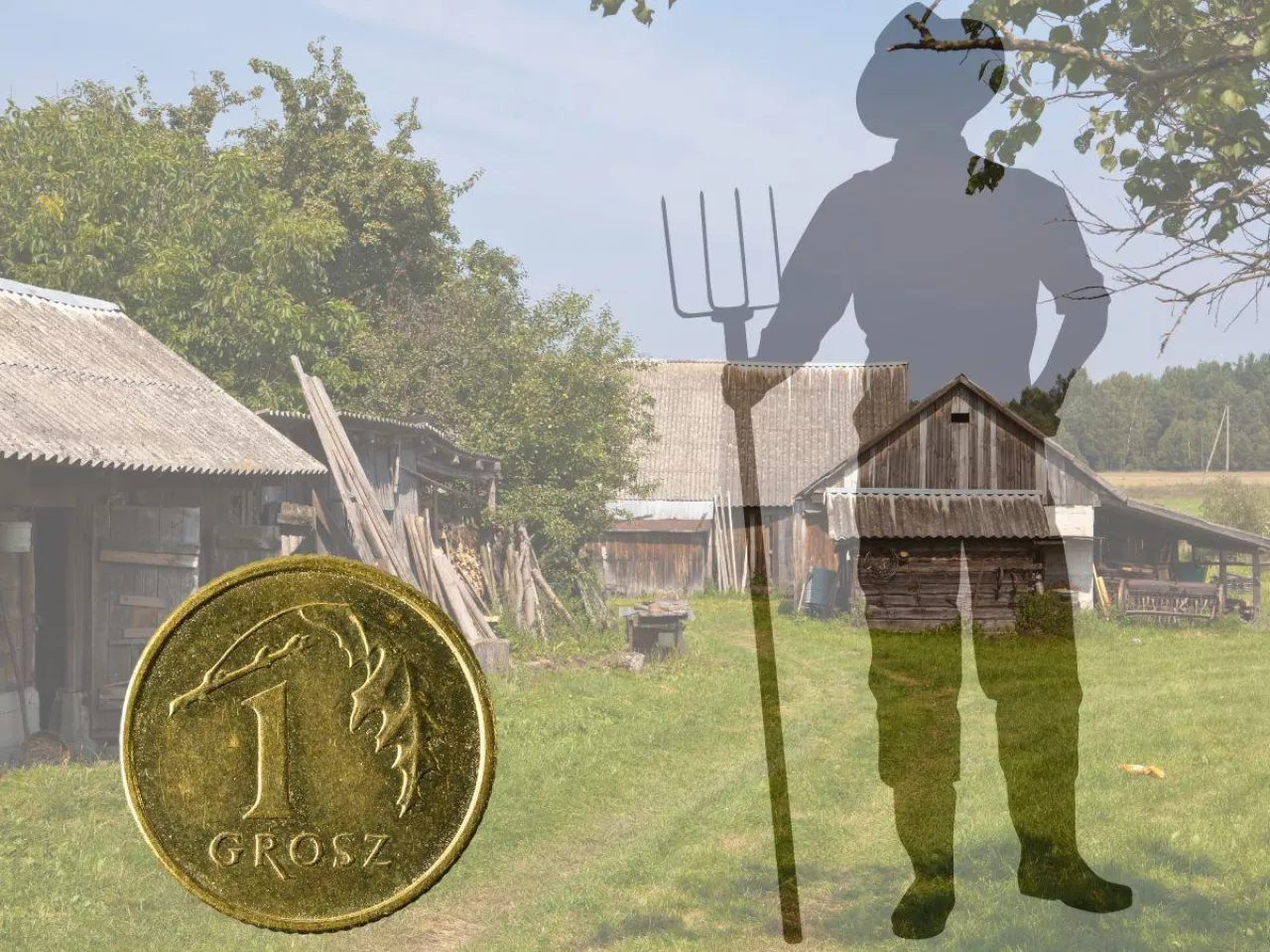 ŹRÓDŁA FINANSOWANIA GOSPODARSTW 