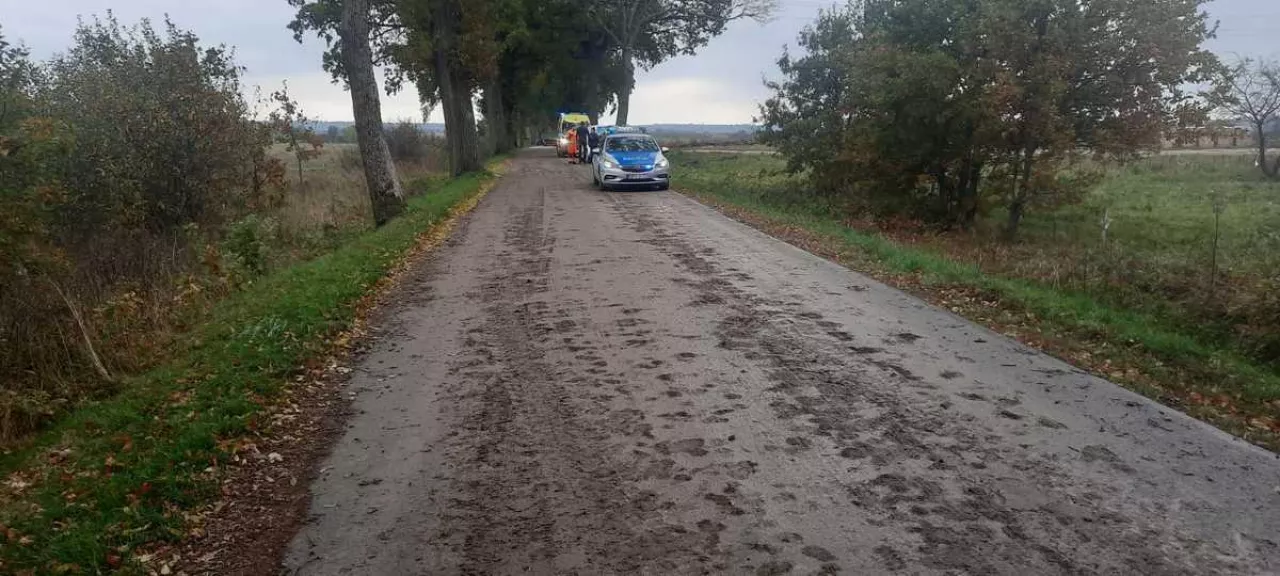 Za zabrudzenie drogi można nawet trafić do więzienia.