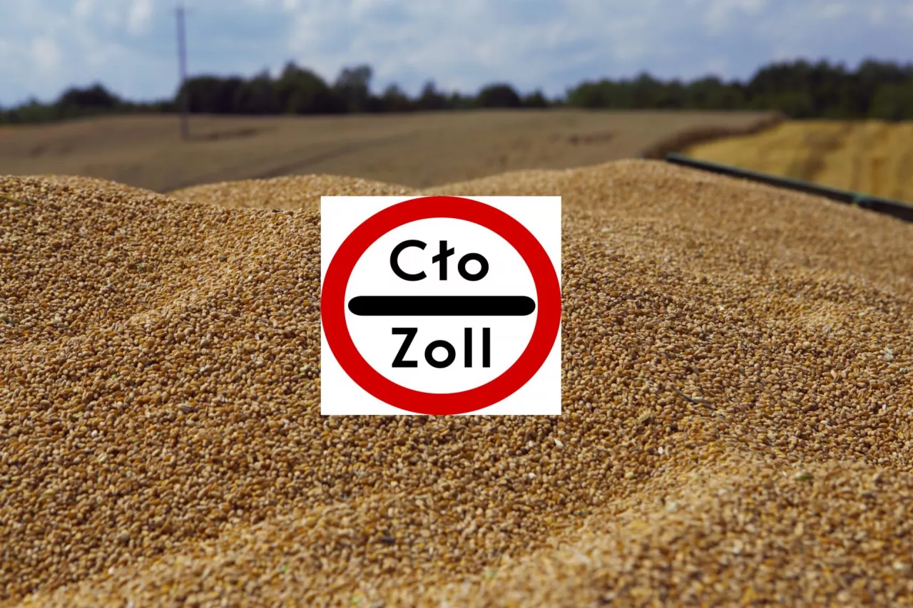 Pryzma pszenicy cło