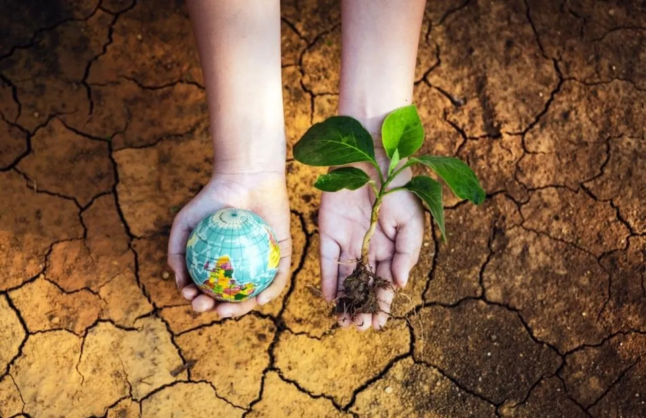 Globalny rynek nawozów - rosnąca liczba ludności i zapotrzebowanie na żywność