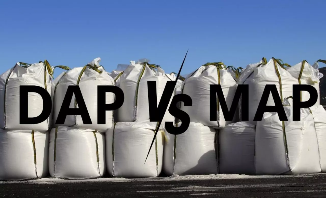 DAP vs MAP różnice w nawozach