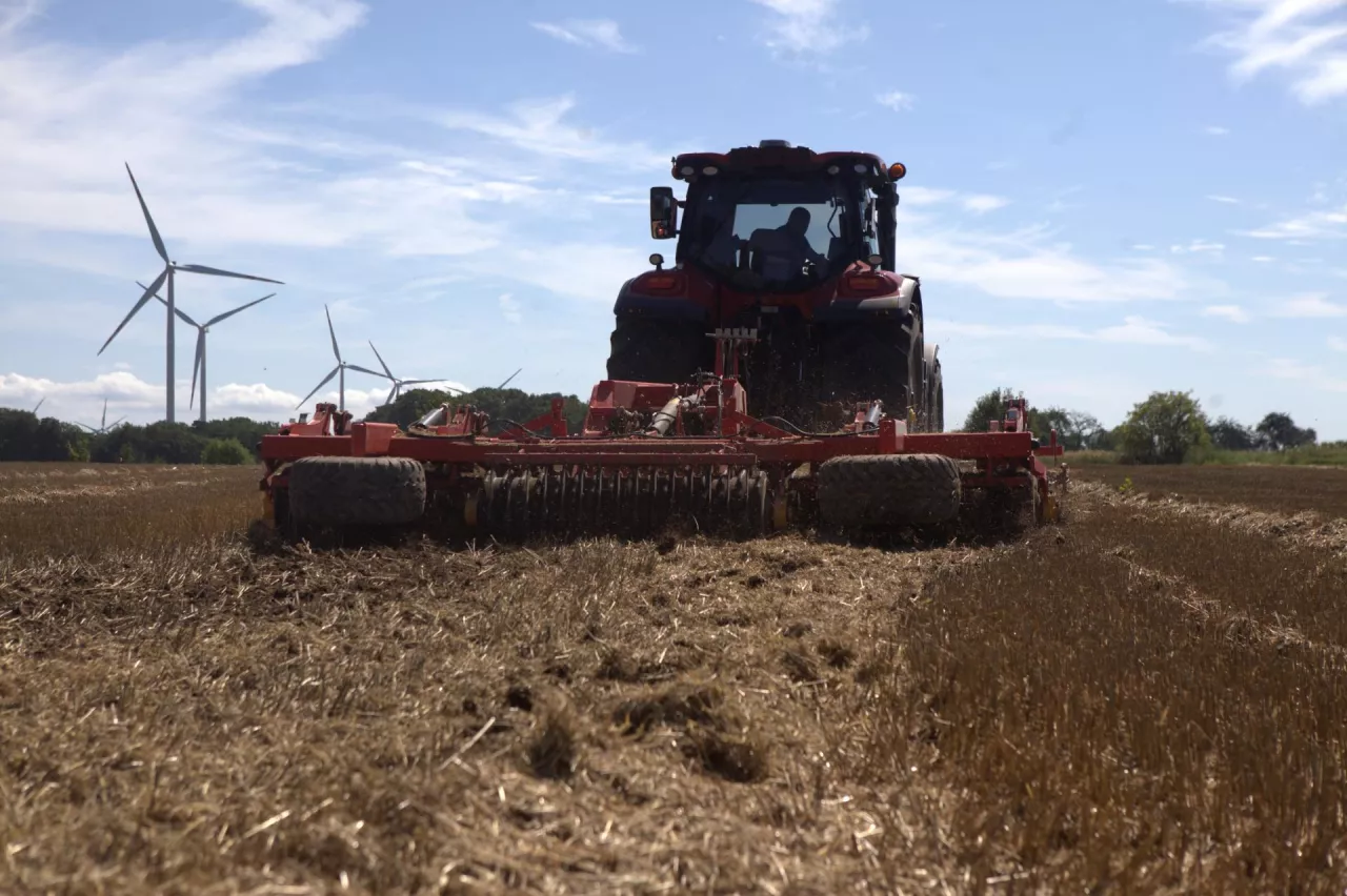 płytka uprawa ścierniska