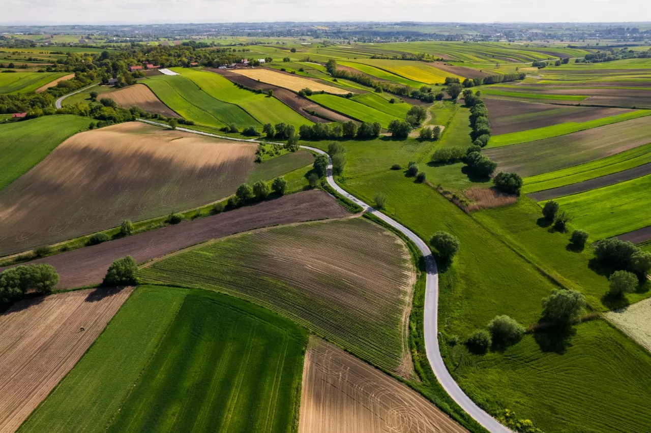 Beautiful Lush Farm Fields in Countryside,Poland. Drone View from Above.