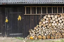 Drewno energetyczne – czy nowe zasady dotkną właścicieli kominków?