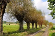 dziedzictwo polskiej wsi