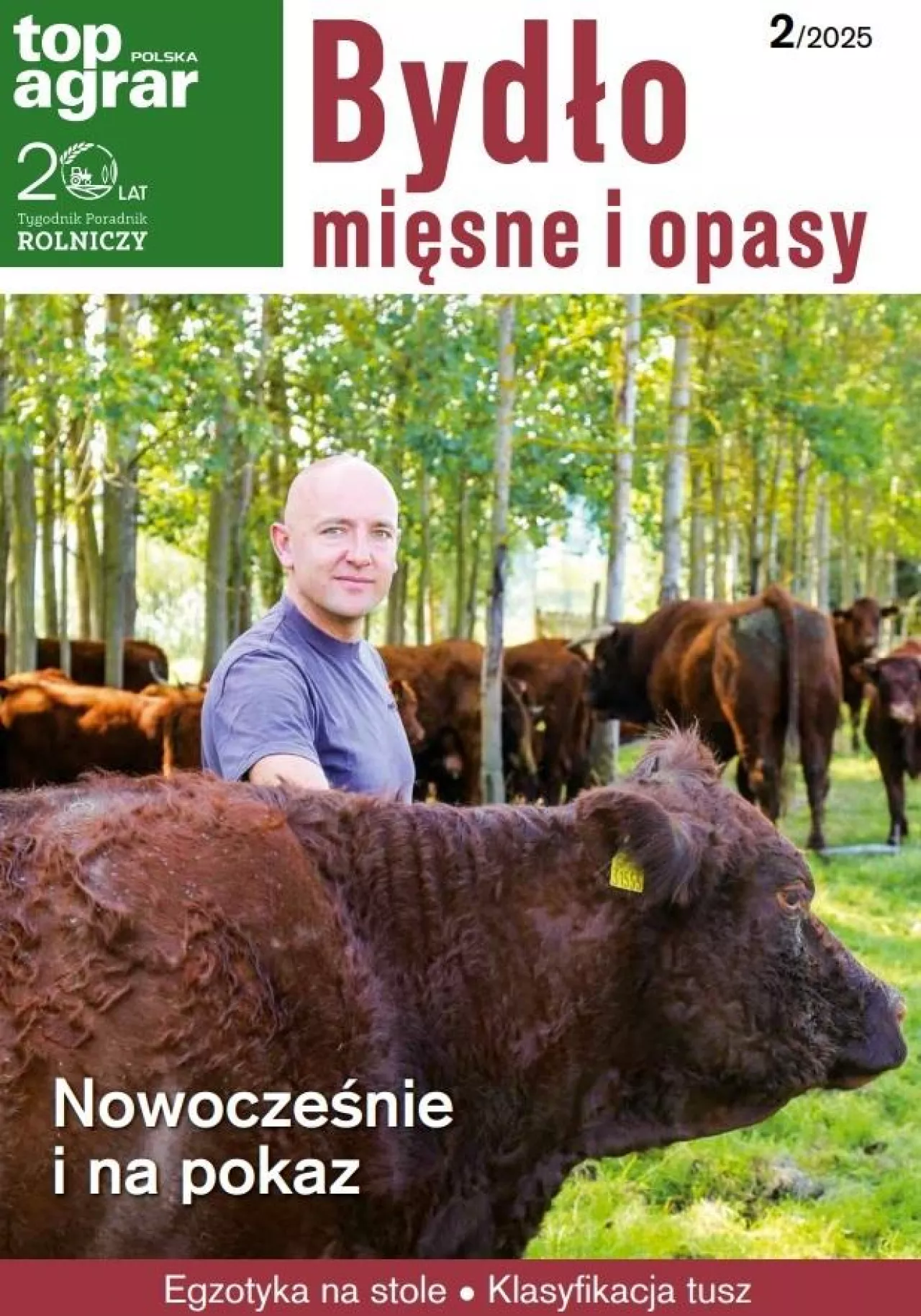 bydło mięsne i opasy 2025