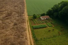 Fotorealistyczna ilustracja pokazująca kontrast między wykarczowanym lasem i monokulturowym polem a małym brazylijskim gospodarstwem rodzinnym. Obraz symbolizuje skutki modelu agroeksportowego promowanego przez umowę UE–Mercosur, przed którym ostrzegają sami brazylijscy rolnicy.