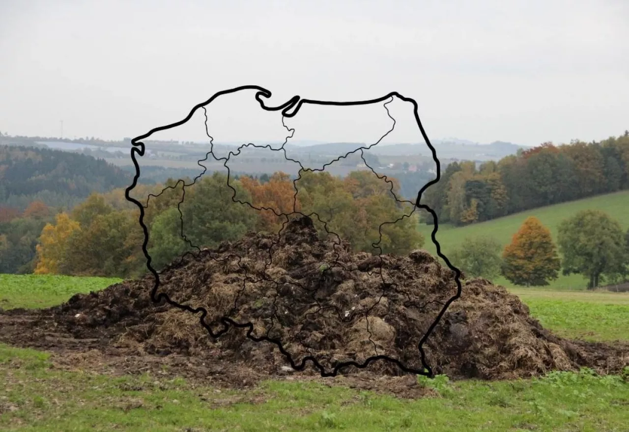 Zużycie nawozów naturalnych w Polsce