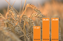 Rys. 1. Eksport pszenicy miękkiej z UE (VII–IV)