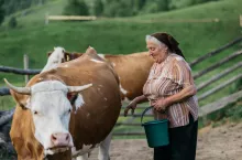 Renta wdowia dla rolników – w jakich przypadkach jest niekorzystna?