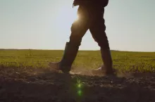 Wypadek w drodze z pola do domu – czego należy unikać, aby KRUS wypłacił odszkodowanie?