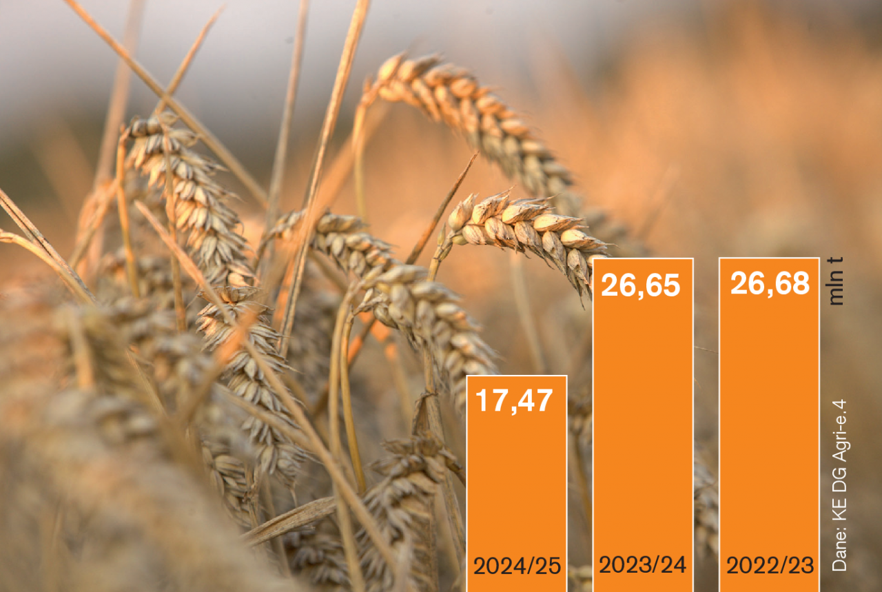 Rys. 1. Eksport pszenicy miękkiej z UE (VII–IV)