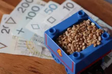 Zboże lego pieniądze