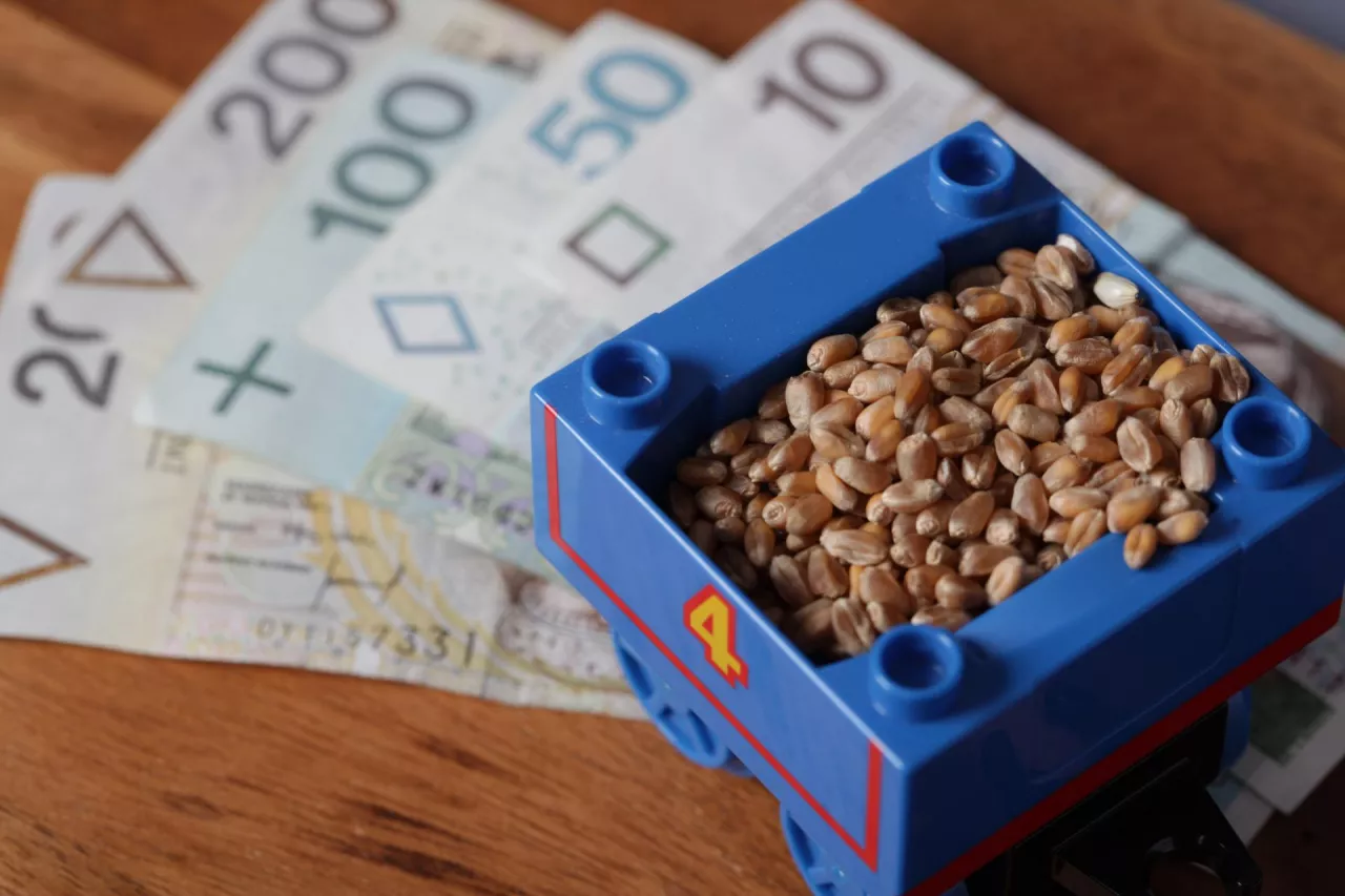 Zboże lego pieniądze