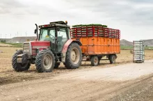 Na ciągnik spadł kamień – czy szkoda bez odszkodowania jest możliwa? ​