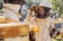 Wsparcie dla pszczelarzy z PS WPR 2023-2027