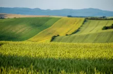 Zamiana gruntów z gminą a VAT