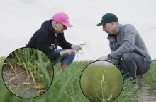 Pogotowie polowe top agrar