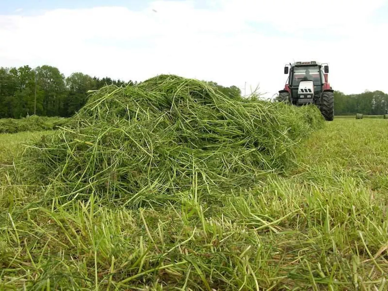 pokos, pierwszy pokos