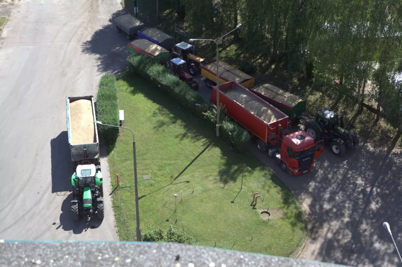 Dostawy zboża do elewatora