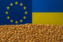 Fotorealistyczna grafika przedstawiająca zboże w tle z flagami Unii Europejskiej i Ukrainy, nawiązująca do ograniczeń w handlu rolnym po wygaśnięciu ATM i powrocie do DCFTA od czerwca 2025