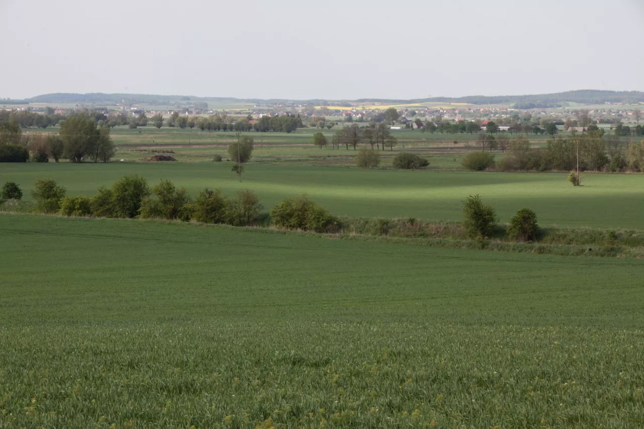 Panorama widok żuławy łąki, pola