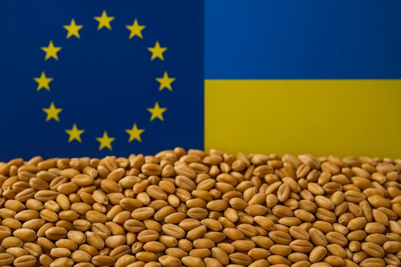 Fotorealistyczna grafika przedstawiająca zboże w tle z flagami Unii Europejskiej i Ukrainy, nawiązująca do ograniczeń w handlu rolnym po wygaśnięciu ATM i powrocie do DCFTA od czerwca 2025