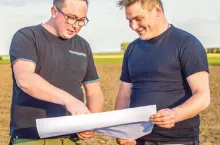 top świnie okładka