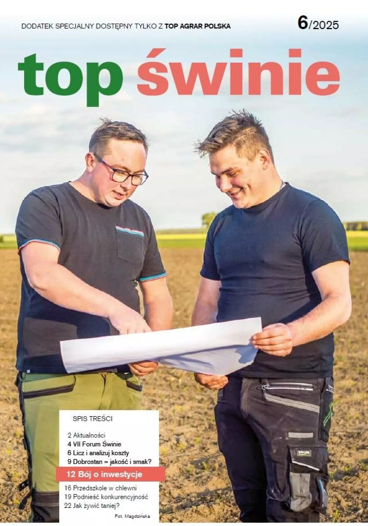 top świnie okładka