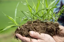 Gleba, węgiel, wartość – rola rolnictwa węglowego. Dzień pierwszy na żywo!