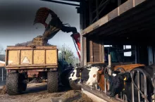 obornik, przechowywanie obornika