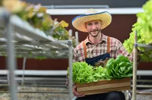 Roczna kwota graniczna – jest nowy termin!