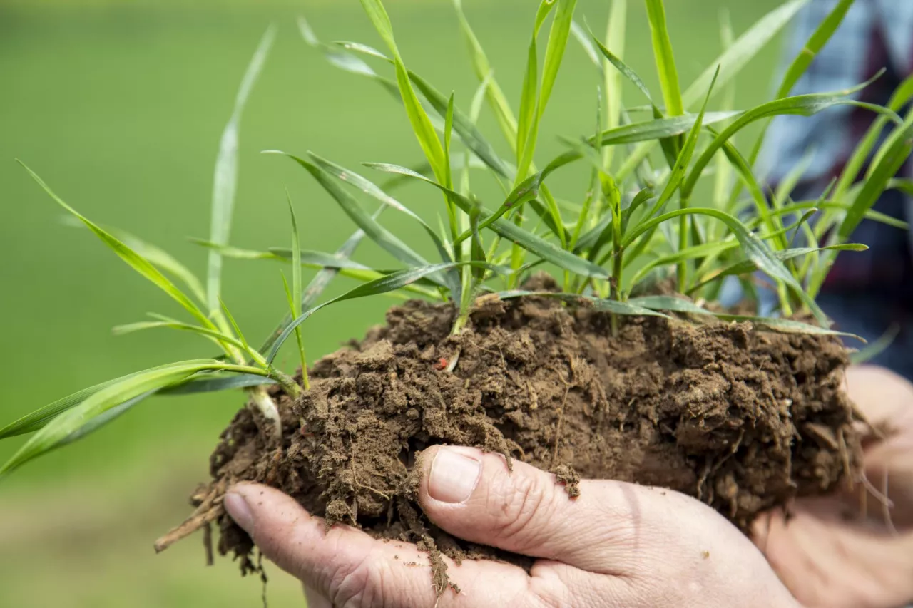 Gleba, węgiel, wartość – rola rolnictwa węglowego. Dzień pierwszy na żywo!