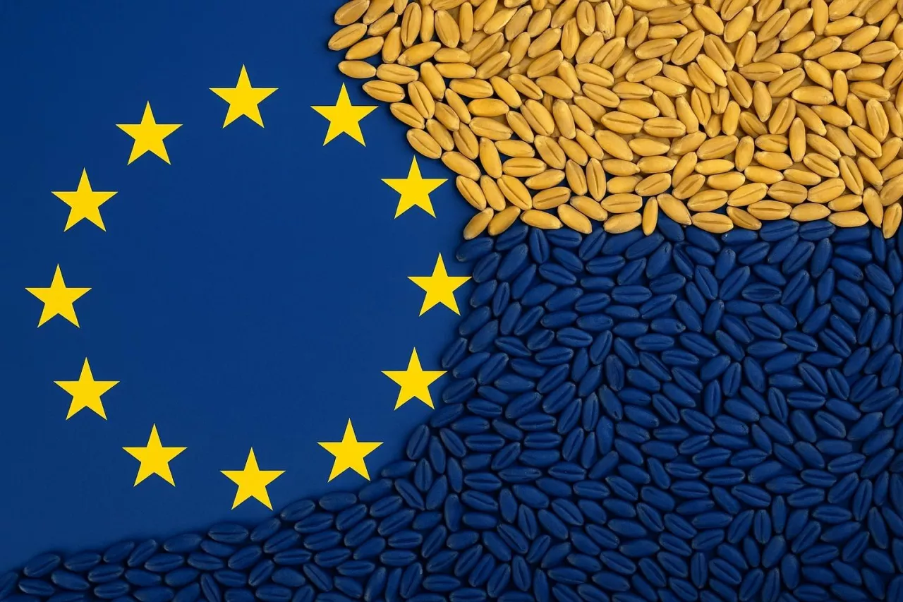 Symboliczna grafika przedstawiająca ziarna zboża w barwach Ukrainy (żółto-niebieskich), które przesypują się na flagę Unii Europejskiej. Obraz nawiązuje do tematu importu zbóż z Ukrainy do UE i napięć związanych z handlem rolnym.