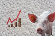 Ceny produktów rolnych, a ceny nawozów