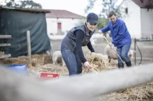 Jakie są dodatkowe kwoty przychodu powodujące zmniejszenie emerytur i rent?