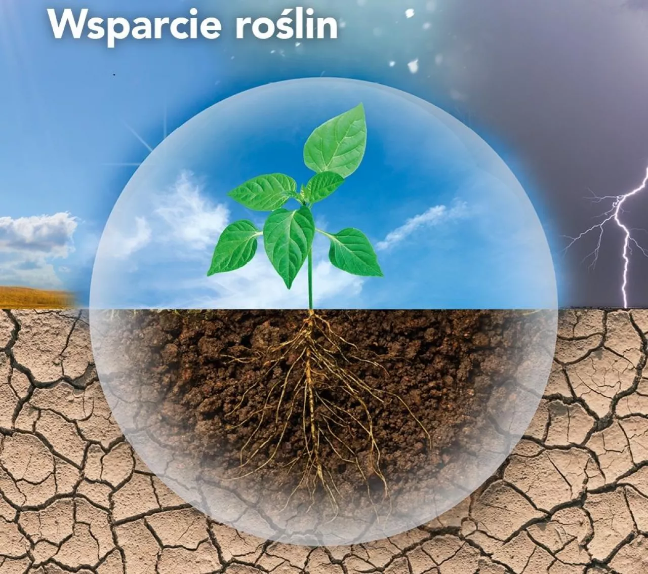 wsparcie dla roślin biostymulator