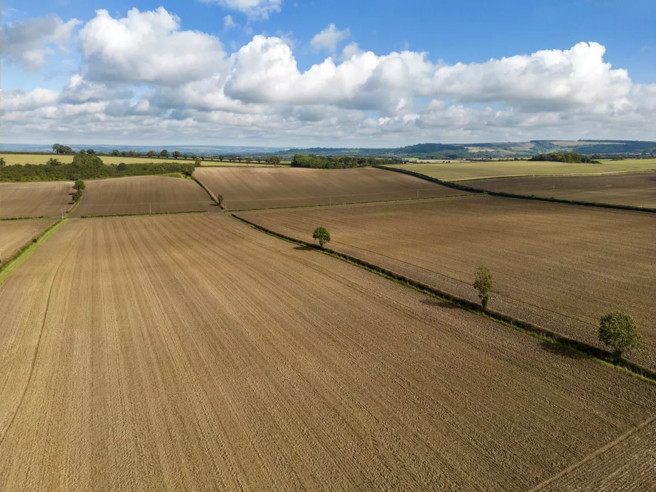 Kupić ziemię – ale za co?